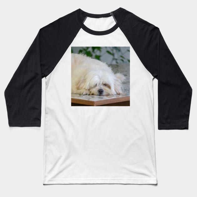 Lazy Sophie Baseball T-Shirt by likbatonboot